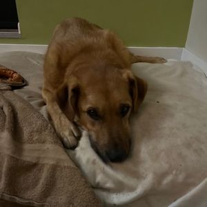 Meet your Posher, Ben